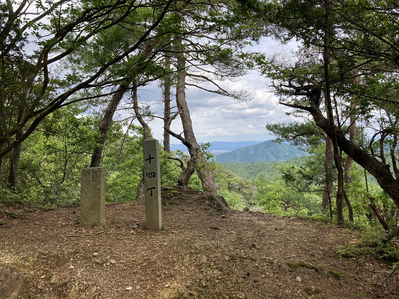 亀岡の森を歩いて京都の木で作ろう！トライアル
